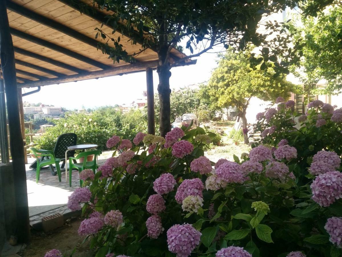 Aritzo Appartamento Romantico Εξωτερικό φωτογραφία